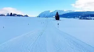 Aaa Fewo Apartamento Bad Mitterndorf
